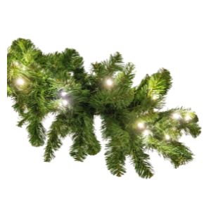 LED Oregon Garland 9' x 14" - Warm White